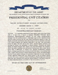 Army_Air_Force_Presiodential_unit_citation_afghanistan.png (497456 bytes)
