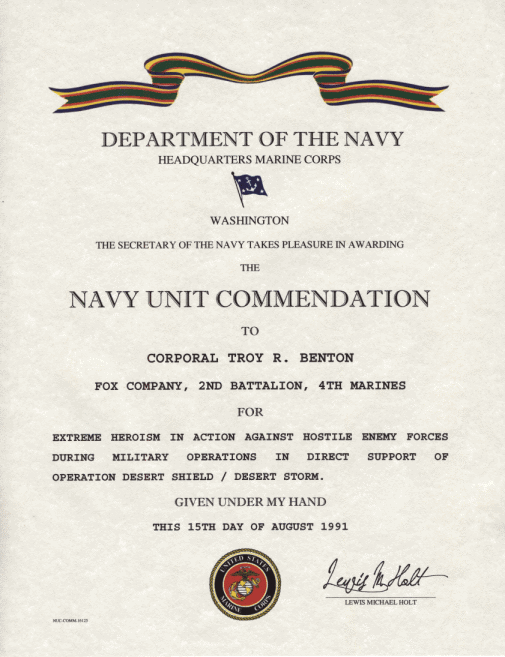 Unapproved Navy Ribbons and Medals : r/navy